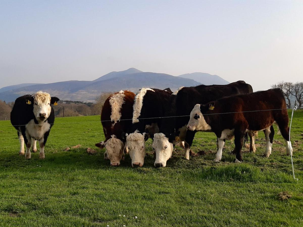 Inveraray Farm Бофорт Экстерьер фото